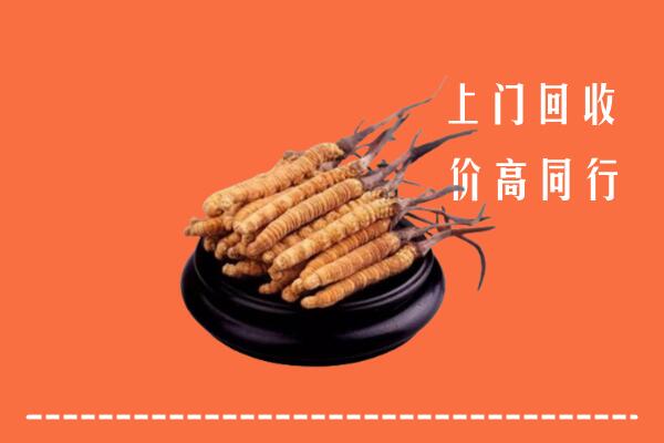 高价求购：灵武市回收散虫草