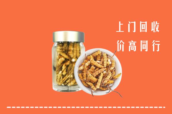 灵武市回收冬虫夏草