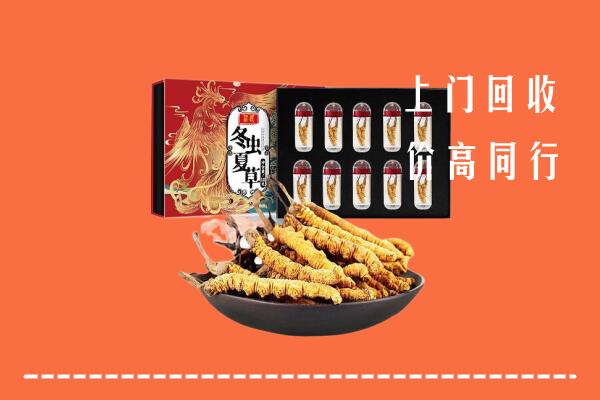 灵武市回收虫草